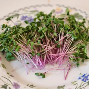 Radish Tendrils